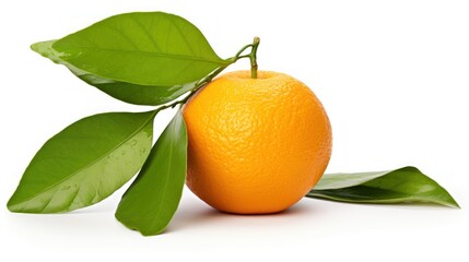 photograph of Orange fruit  and leaves on white background,F