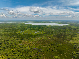 View of protected wetlands area in the Philippines. Agusan Marsh Wildlife Sanctuary. Mindanao.