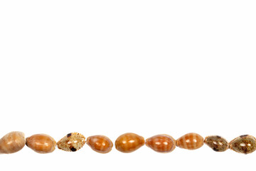 Row of Seashells: Perfect for Slides and Flyers, Beach and Vcations