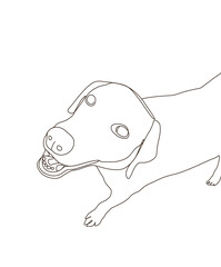 Line art of top view of a Labrador looking up and smiling at a camera. Close up friendship playful.