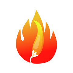 red chili logo vector, cafe and restaurant logo in white background