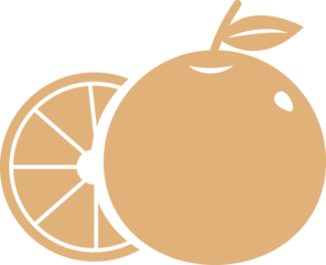 Orange fruit flat design