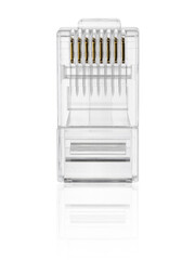 transparent plug ethernet rj-45 connector to connect to the Internet on a white background	
