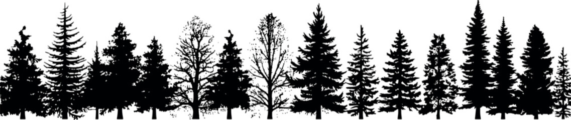 Set of coniferous spruce trees silhouettes, forming a horizontal pattern on a transparent background. Generative AI