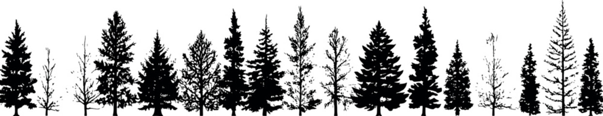 A set of coniferous spruce tree silhouettes in a horizontal arrangement, featuring elegant fir trees against a transparent background. Generative AI