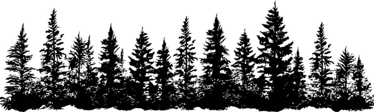 Set of coniferous spruce trees silhouettes, creating a horizontal arrangement. Perfect for adding a touch of nature to any design. Generative AI