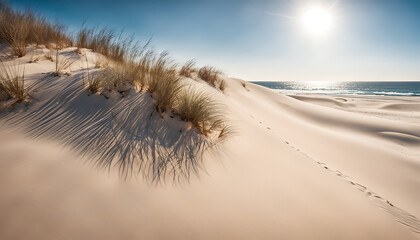 A tall snow-covered sand dune on a beach, surrounded by white sand under a clear blue sky, shows natural beauty.