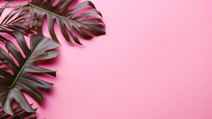 Tropical leaves on pink