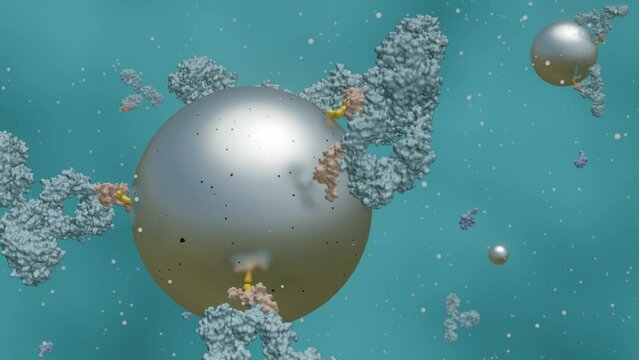 A close-up 3D animation of antibody-conjugated magnetic nanoparticles.