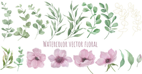 Watercolor floral set. Hand drawing illustration isolated on transparent background. Vector EPS.