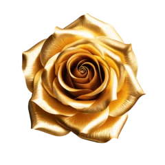 Fotobehang  Golden rose flower head isolated © Natalie Meerson