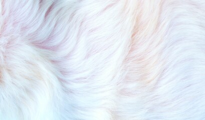 fur texture background