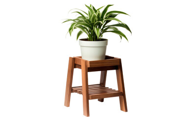 Plant Stand On Transparent Background