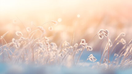 Beautiful gentle winter landscape, frozen grass on snowy natural background