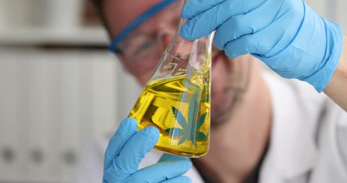 Scientist with gloves cracks glass of marijuana oil in laboratory. Marijuana chemical research concept