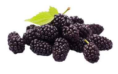 Fresh Mulberries On Transparent PNG