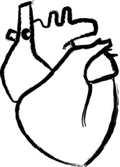 Heart, Organ vector icon in grunge style