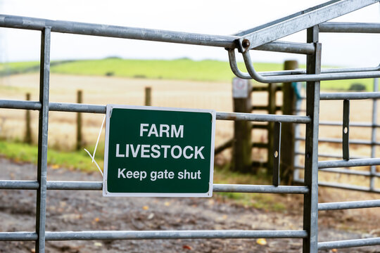 Farmers metal gate with a keep gate shut sign attached, displaying Farm Livestock, with agricultural fields in the background, located at Cardross, Argyll and Bute, Scotland, UK