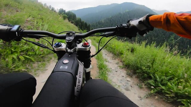 Mountain biker POV riding on trail in green forest