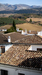 roofs of the old city