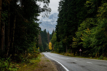 mountain road in the autumn forest of the caucasus