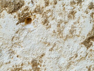 evocative texture image of a porous wall surface