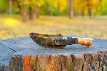 Hunting Knife in a Leather Sheath on a Stump