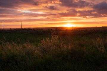 Fototapeta premium sunset in the field