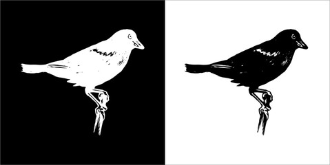 Illustration vector graphics of bird icon