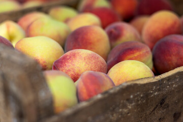 Apples in a basket