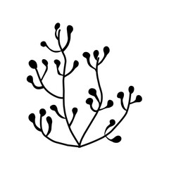 sea corals and seaweed black silhouette