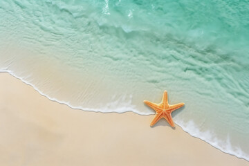 Fototapeta na wymiar summer background view from a drone turquoise sea and exotic sea star