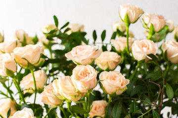 A bouquet of delicate cream roses close up, home decoration with flowers, a festive bouquet of roses for a birthday or wedding