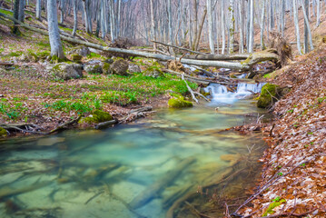 river in mountain canyon with forest rushing over the stones
