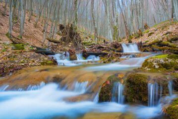 small brook in mountain canyon rushing over the stones