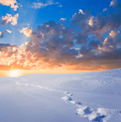 snowbound winter plain at the dramatic sunset