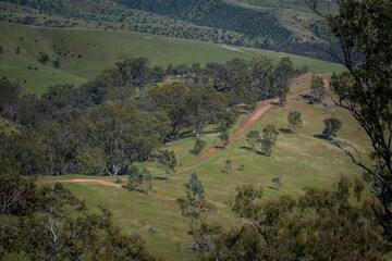 Dirt road along a mountain ridge in green Australian bushland  - 685133998