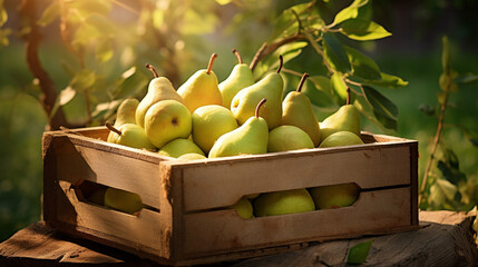 Organic pears in a wooden box on the field.Generative AI