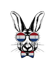 Easter bunny hand drawn portrait. Patriotic sublimation in colors of national flag on white background. Netherlands