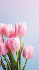 Fototapeta premium Bouquet of pink tulips on blue background with copy space