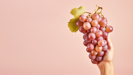 Hand holding grape fruit isolated on pastel background