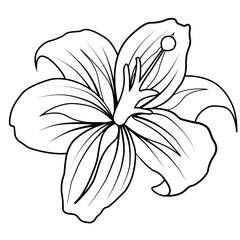 flower drawing coloring isolated coloring