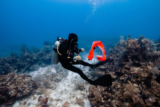 Scuba Diver Exploring Coral Reef with Safety Buoy in Cancun, Mexico