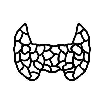 Parathyroid Glands icon in vector. Logotype
