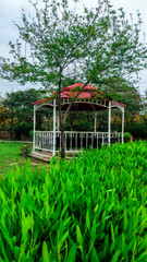A sitting area beneath a tree in a park surrounded by lush green leaves