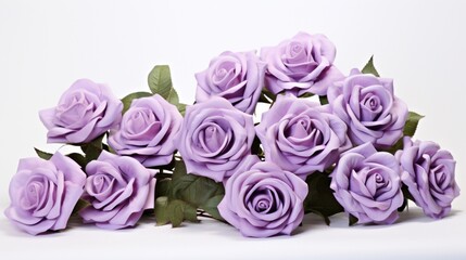 Captivating lavender roses gracefully arranged, creating a dreamy atmosphere on a white backdrop.