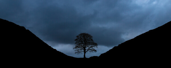 silhouette of Sycamore Gap on a stormy night