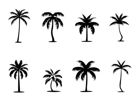 palm tree set silhouette illustration