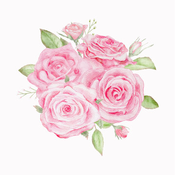 Watercolor pink rose flowers bouquet for valentines day card or Dusty pink wedding bouquet vector