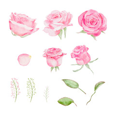 Watercolor pink rose flowers bouquet for valentines day card vector